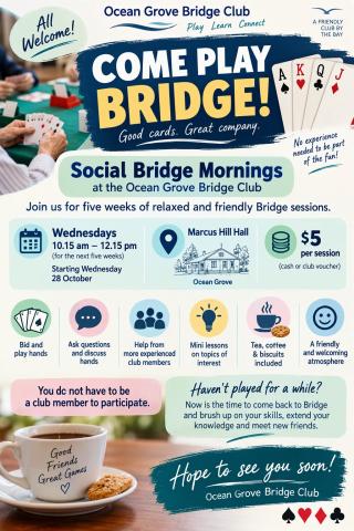 Social Bridge Mornings